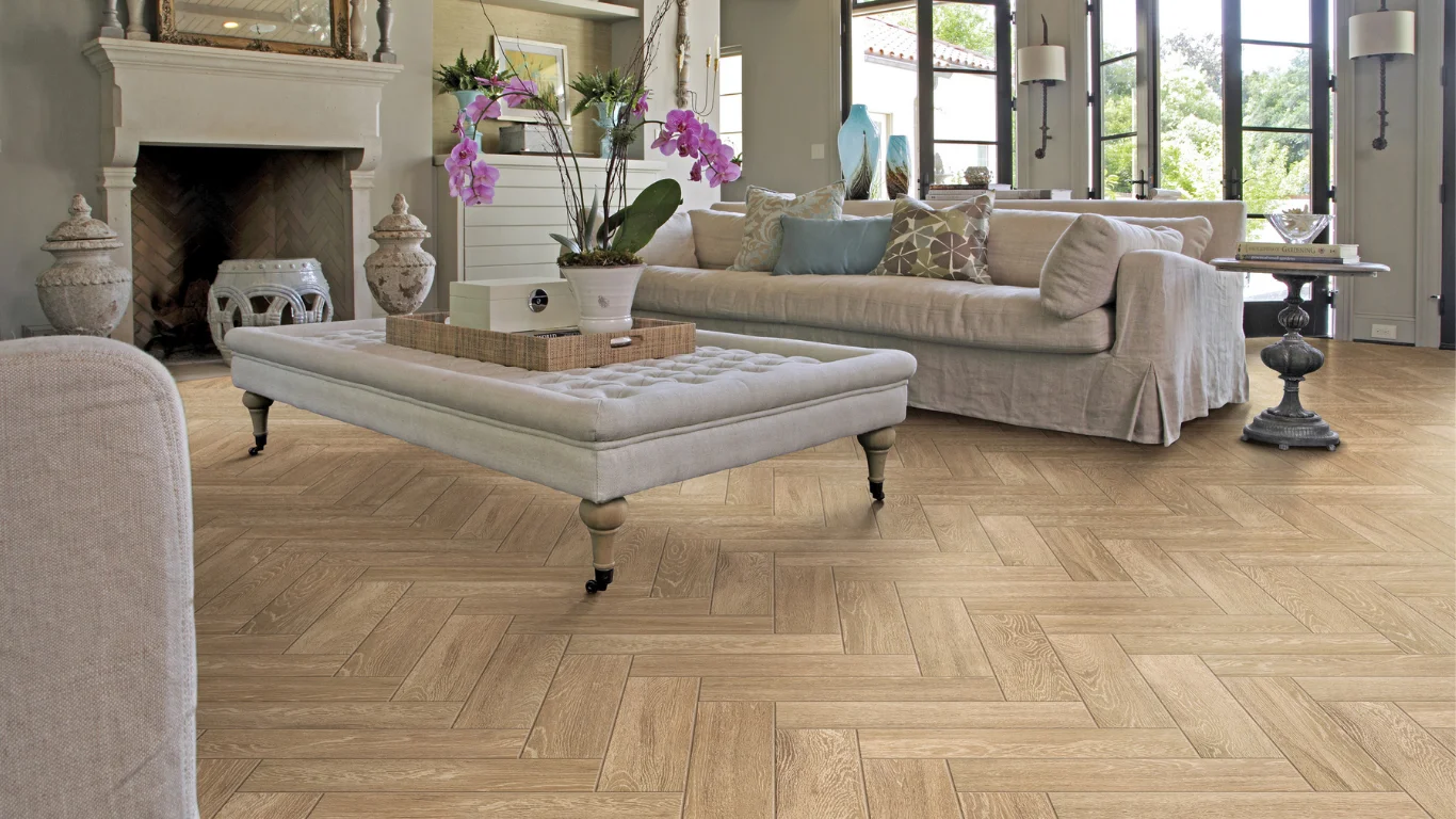 Blanco Negro Collage Fotos Sitio web de enlace en perfil